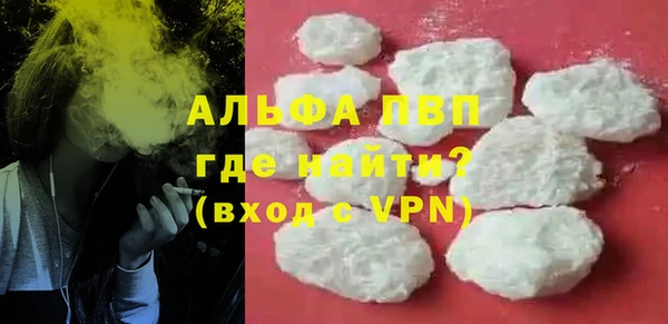 амф Горняк