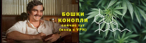 амф Горняк