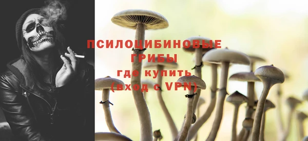 амф Горняк