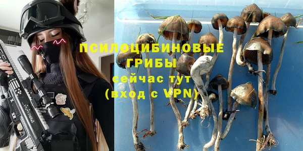 амф Горняк