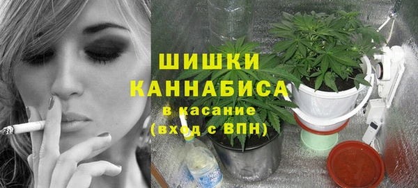 амф Горняк